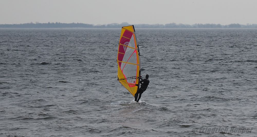 Windsurfer in der Förde