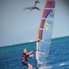 Windsurfing Aegyptem