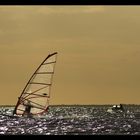 Windsurfing - Feel Free !