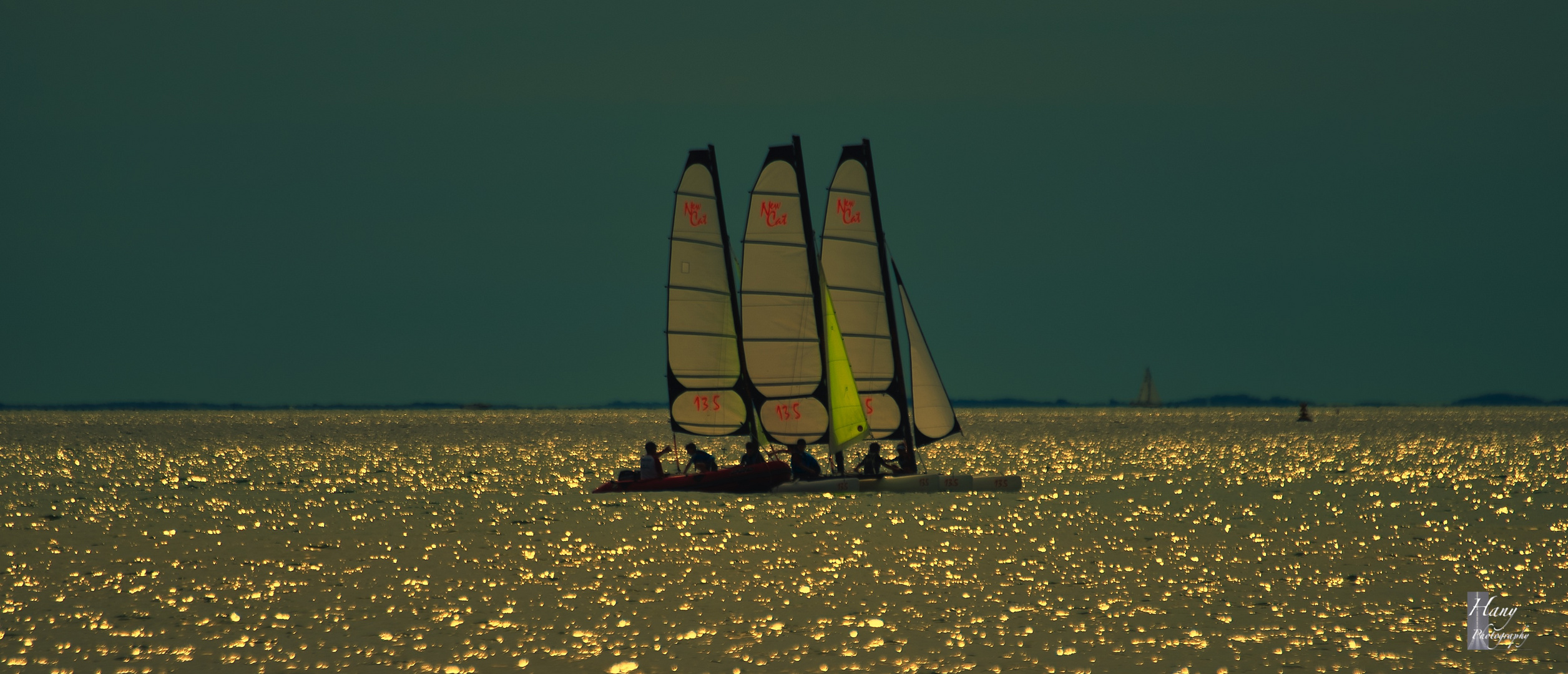 Windsurfings