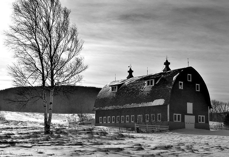 Windswept Barn