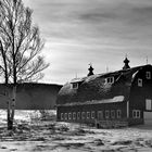 Windswept Barn