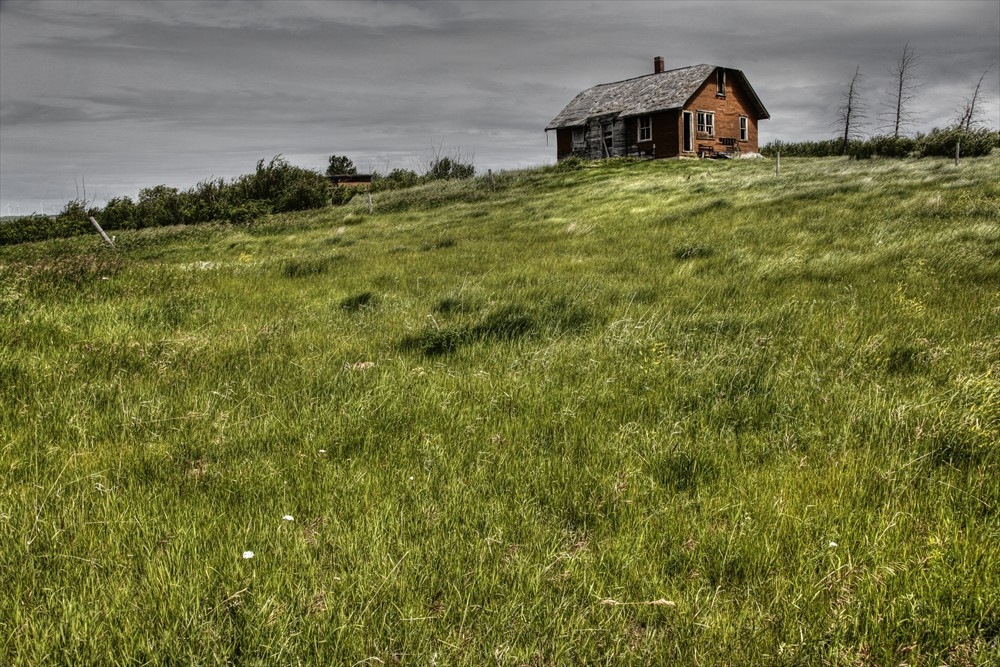 Windswept Hill