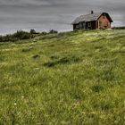 Windswept Hill