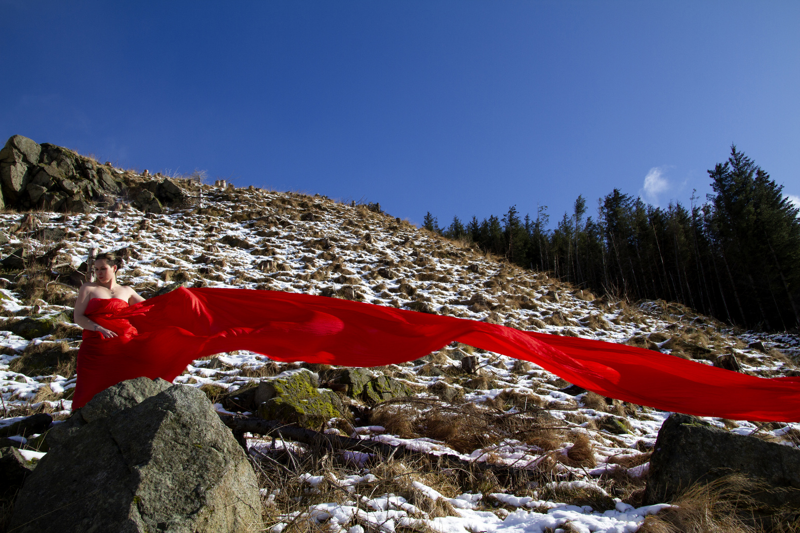 Windswept Winter Scene with Chris Wong 2