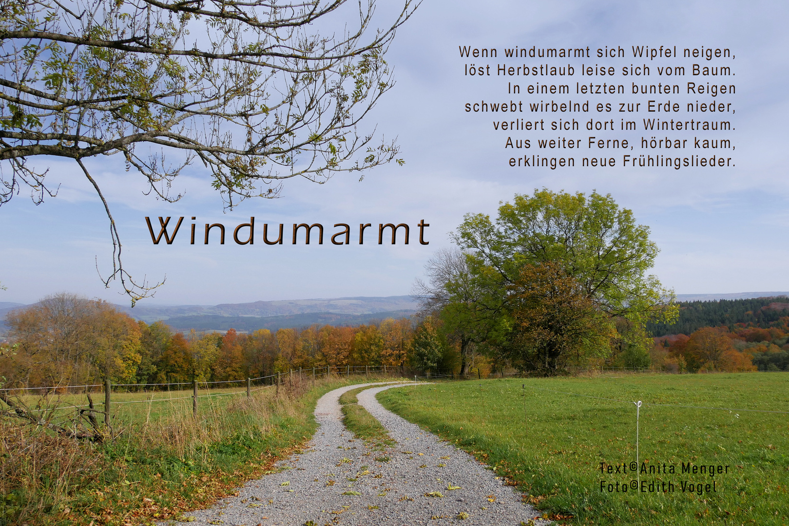 Windumarmt