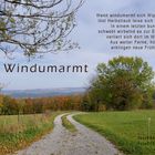 Windumarmt