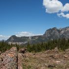 Windwurf in den Dolomiten