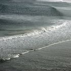 Windy beach