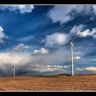 Windy day