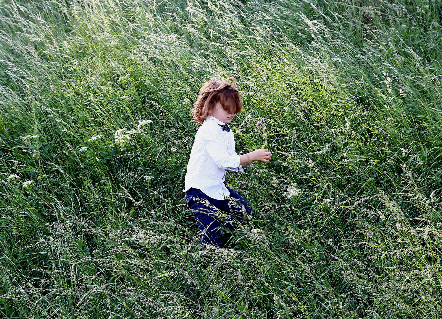 Windy day