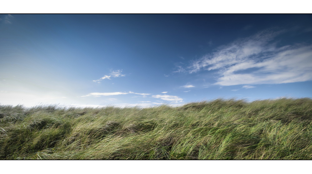 °° windy dunes °°