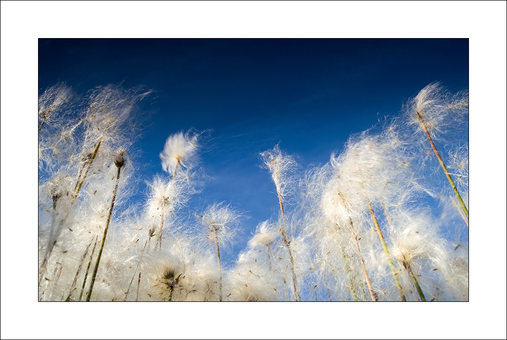 [ windy ]