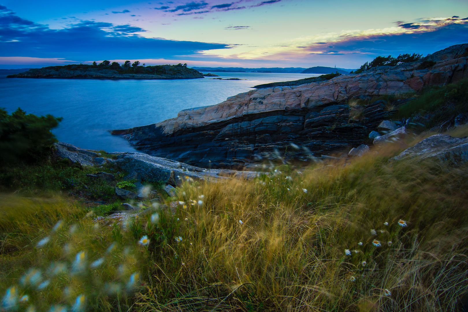 Windy evening 