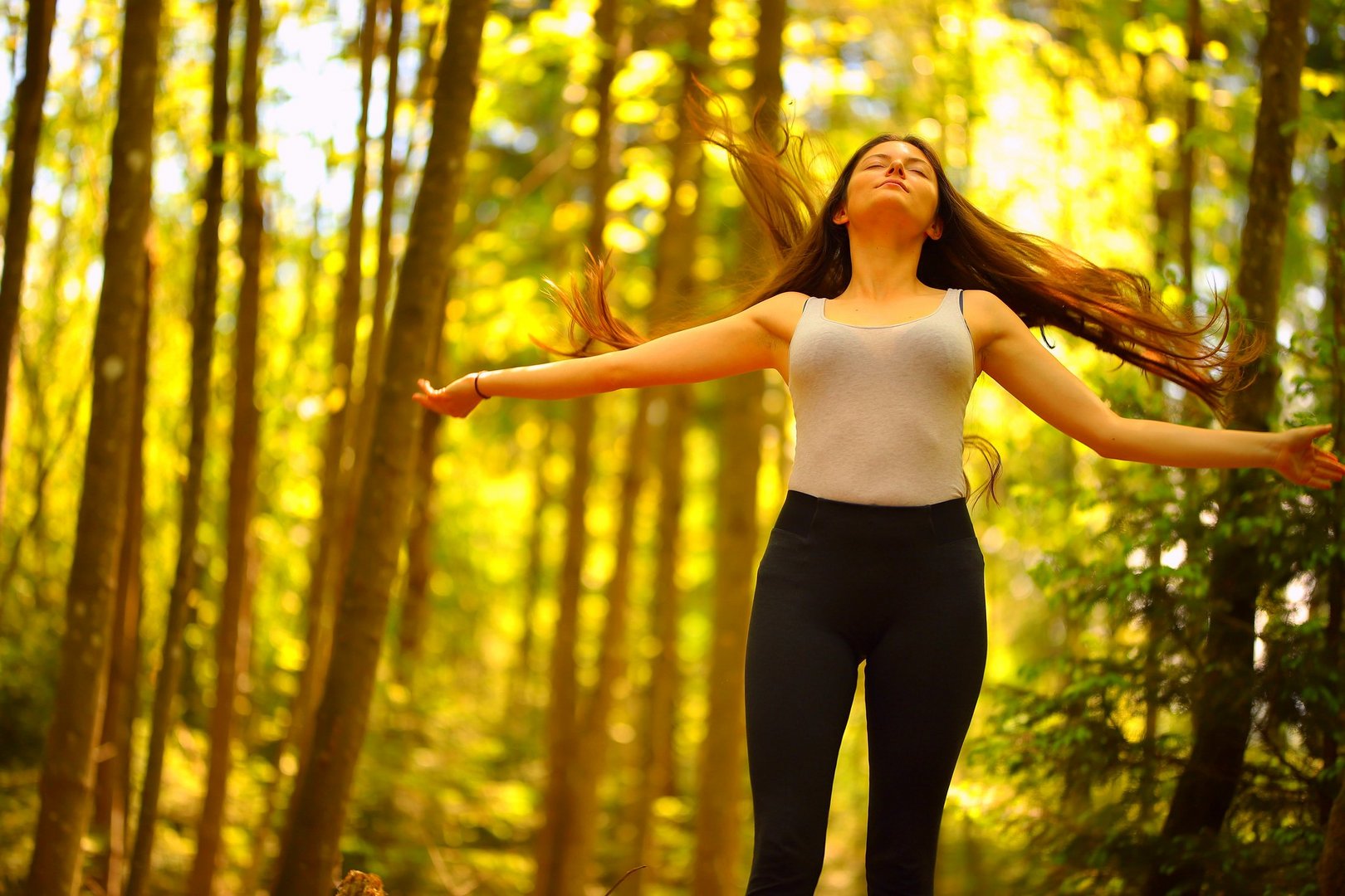 Windy forest