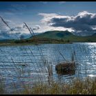 Windy Rannoch Moor