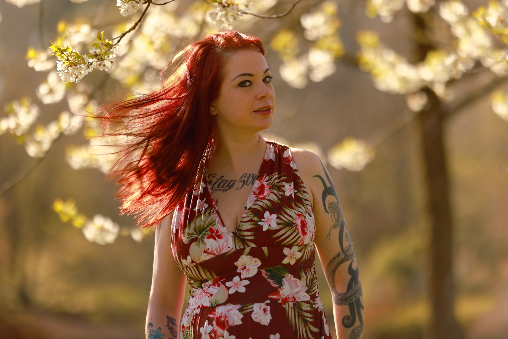 Windy spring day and the apple tree