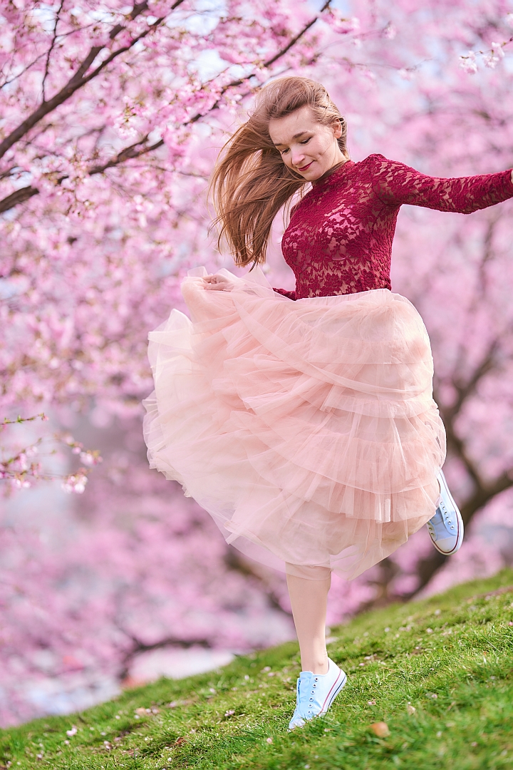 Windy spring day and the cherry blossoms