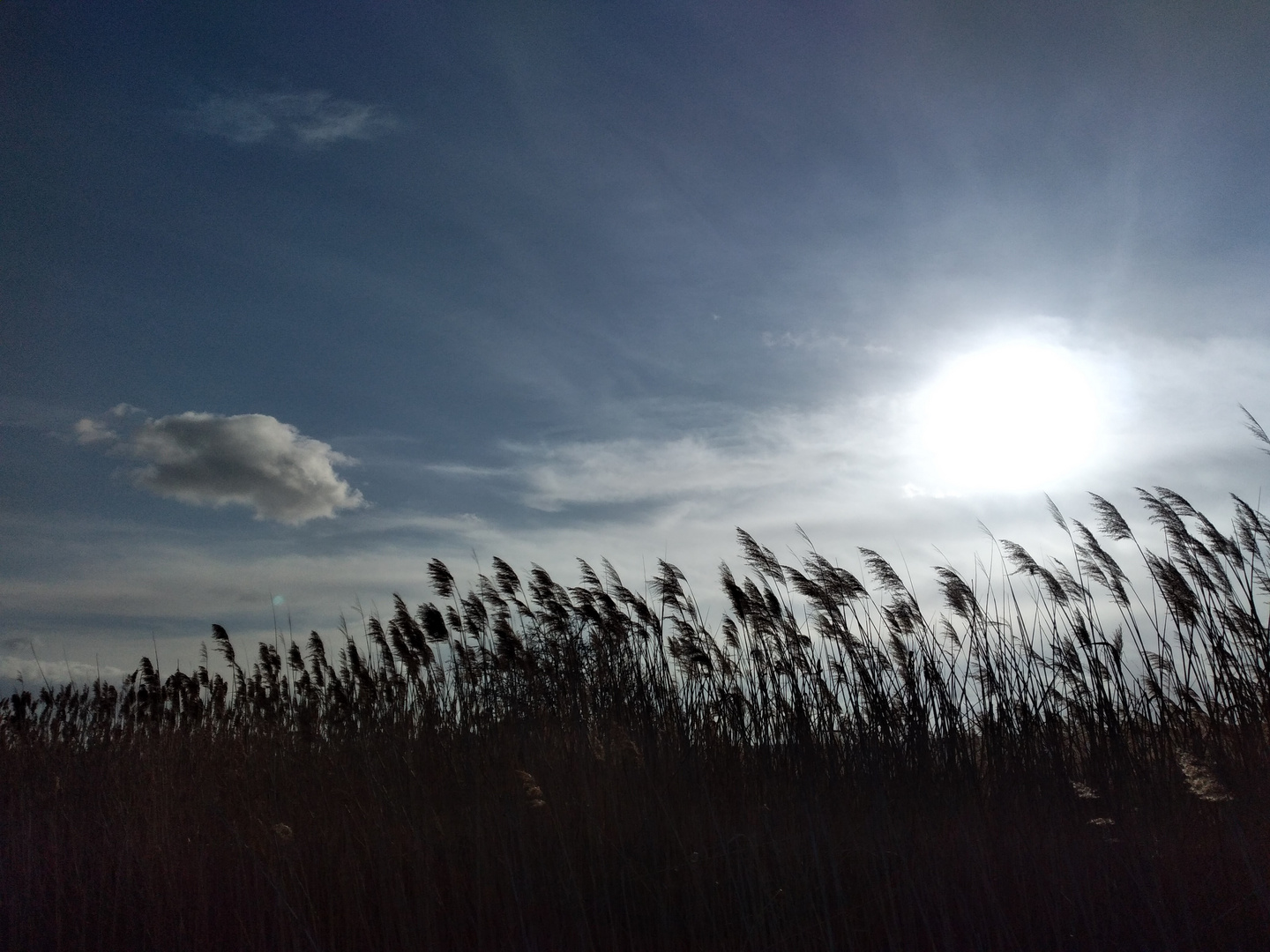 Windy Sun-day