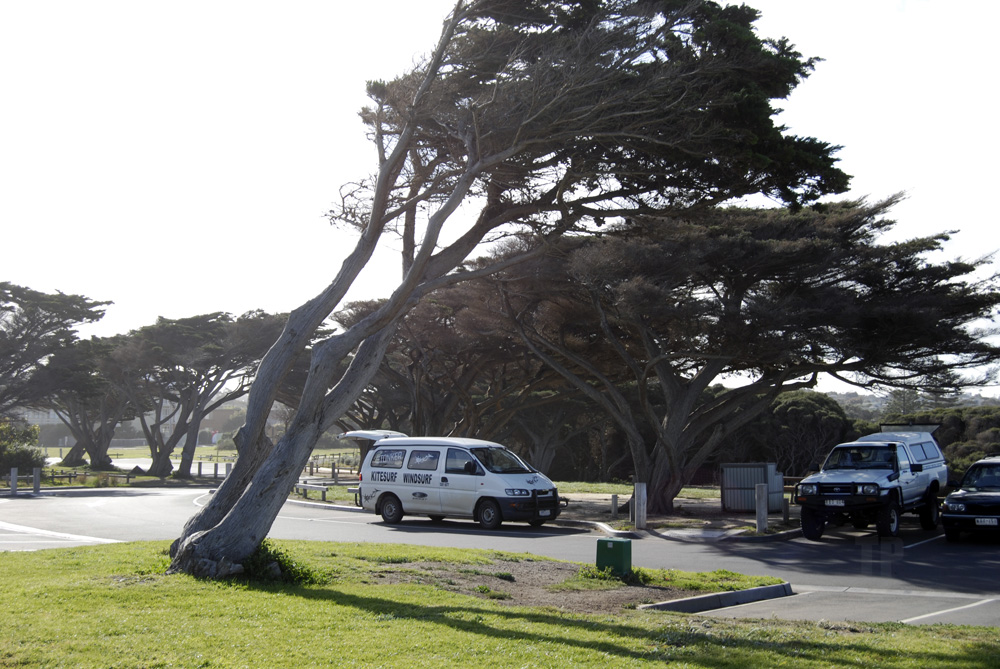 windy weather