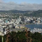 Windy Wellington