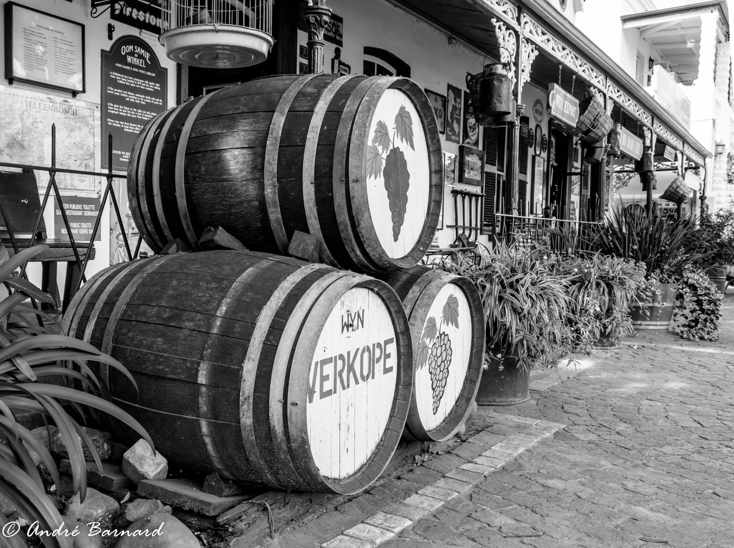 Wine barrels