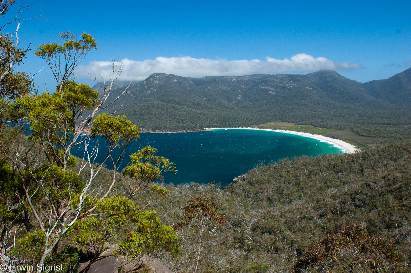 Wine-Glass-Bay - Tasmanien - Australien