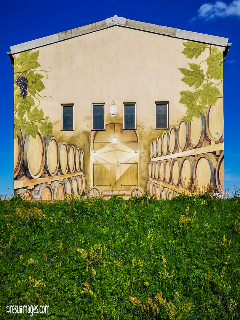 Wine Storage in Saxony