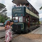 Wine Tram