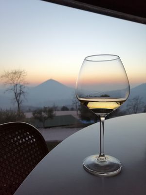 Wine with a view