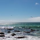 Wineglass Bay