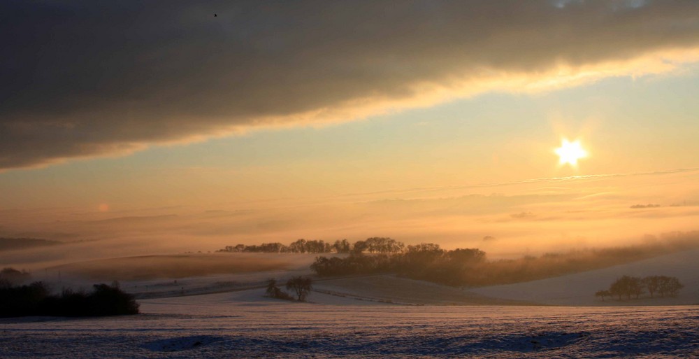 winer in der Pfalz