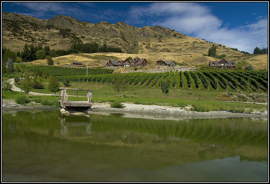 Wineries - the other part of Queenstown