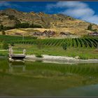 Wineries - the other part of Queenstown
