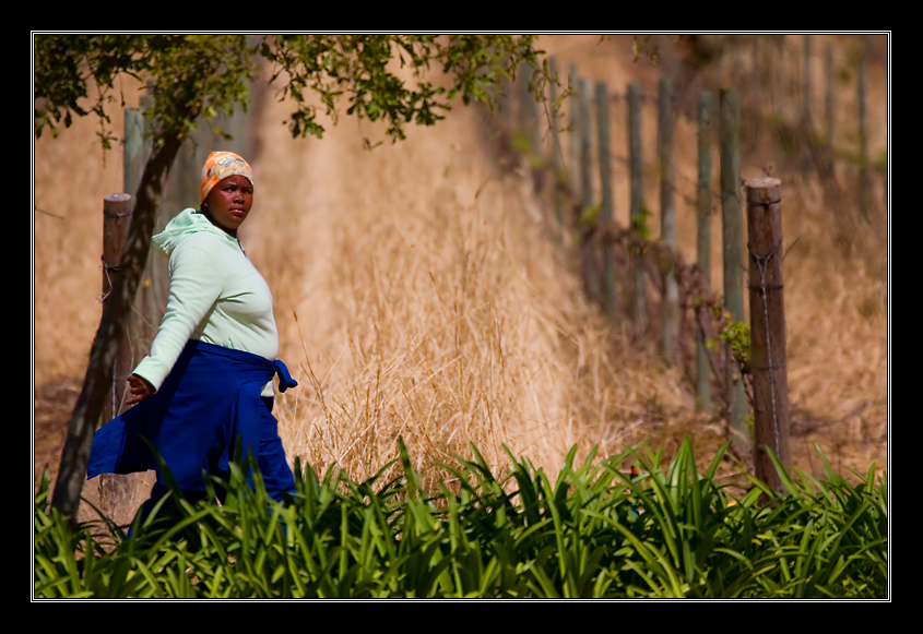 Winery worker