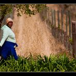 Winery worker