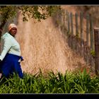 Winery worker