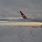 Wing view