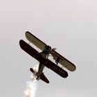 Wing walk