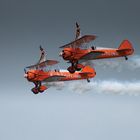 Wing Walkers