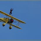 Wing-Walkers