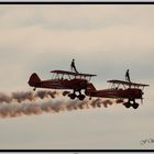 Wing Walkers