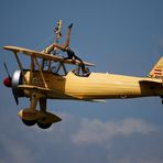 Wing Walkers