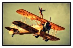 Wing Walking