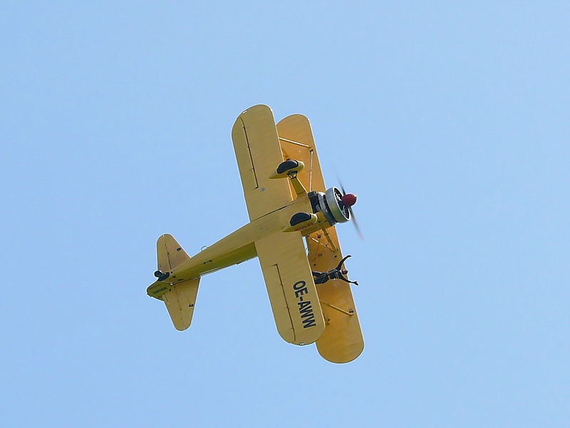 Wing - Walking