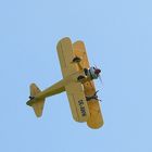 Wing - Walking