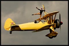 Wing Walking