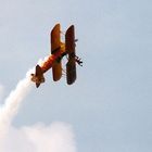 Wing Walking