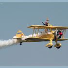 Wing Walking