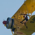 Wing Walking